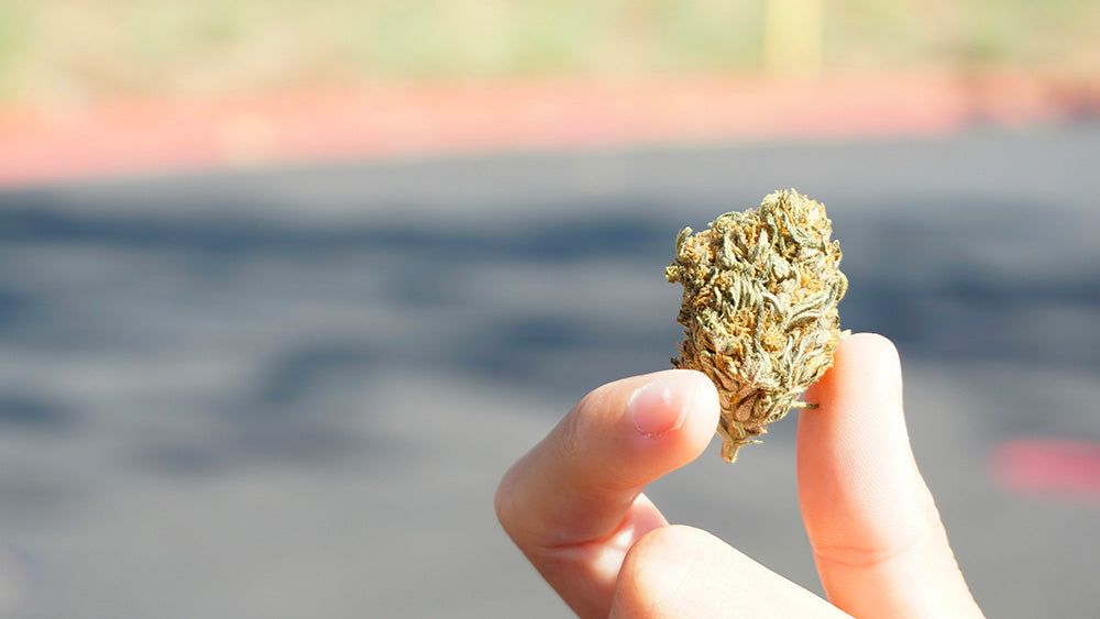 10-OH-HHC : tout ce qu’il faut savoir sur ce nouveau cannabinoïde synthétique