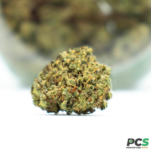 Fleurs CBD Blueberry Muffins indoor