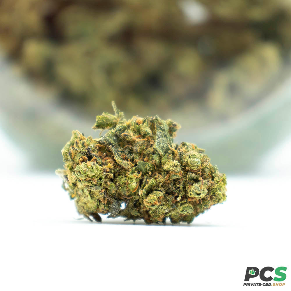 Fleurs CBD Blueberry Muffins indoor