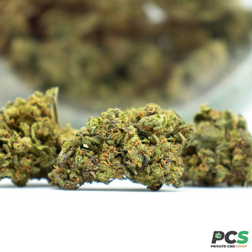 Fleurs CBD Blueberry Muffins indoor