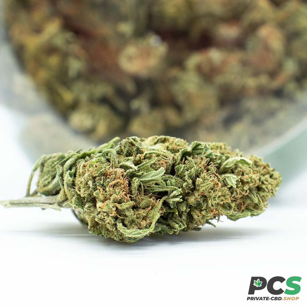 Fleurs CBD K1 Tsunami GreenHouse