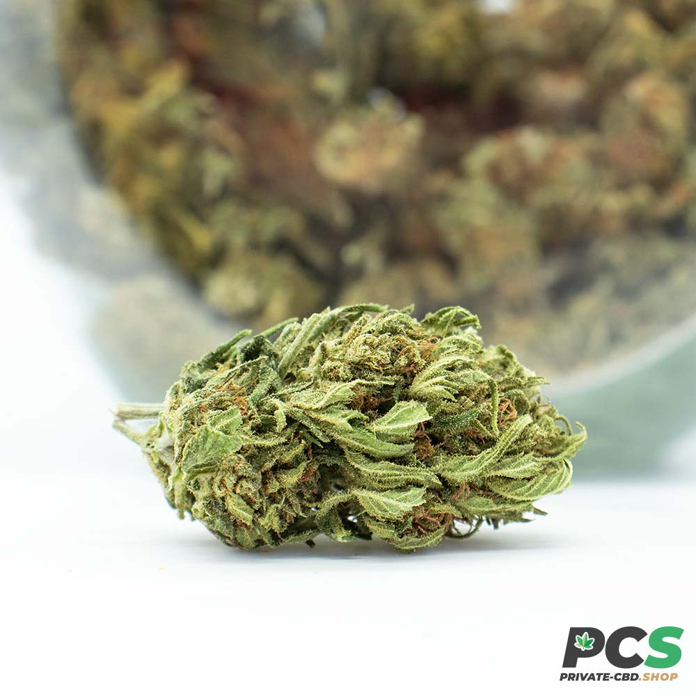 Fleurs CBD K1 Tsunami GreenHouse