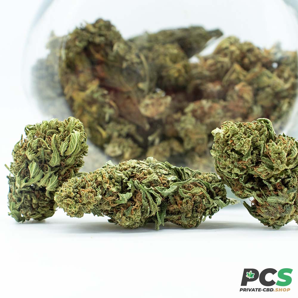 Fleurs CBD K1 Tsunami GreenHouse