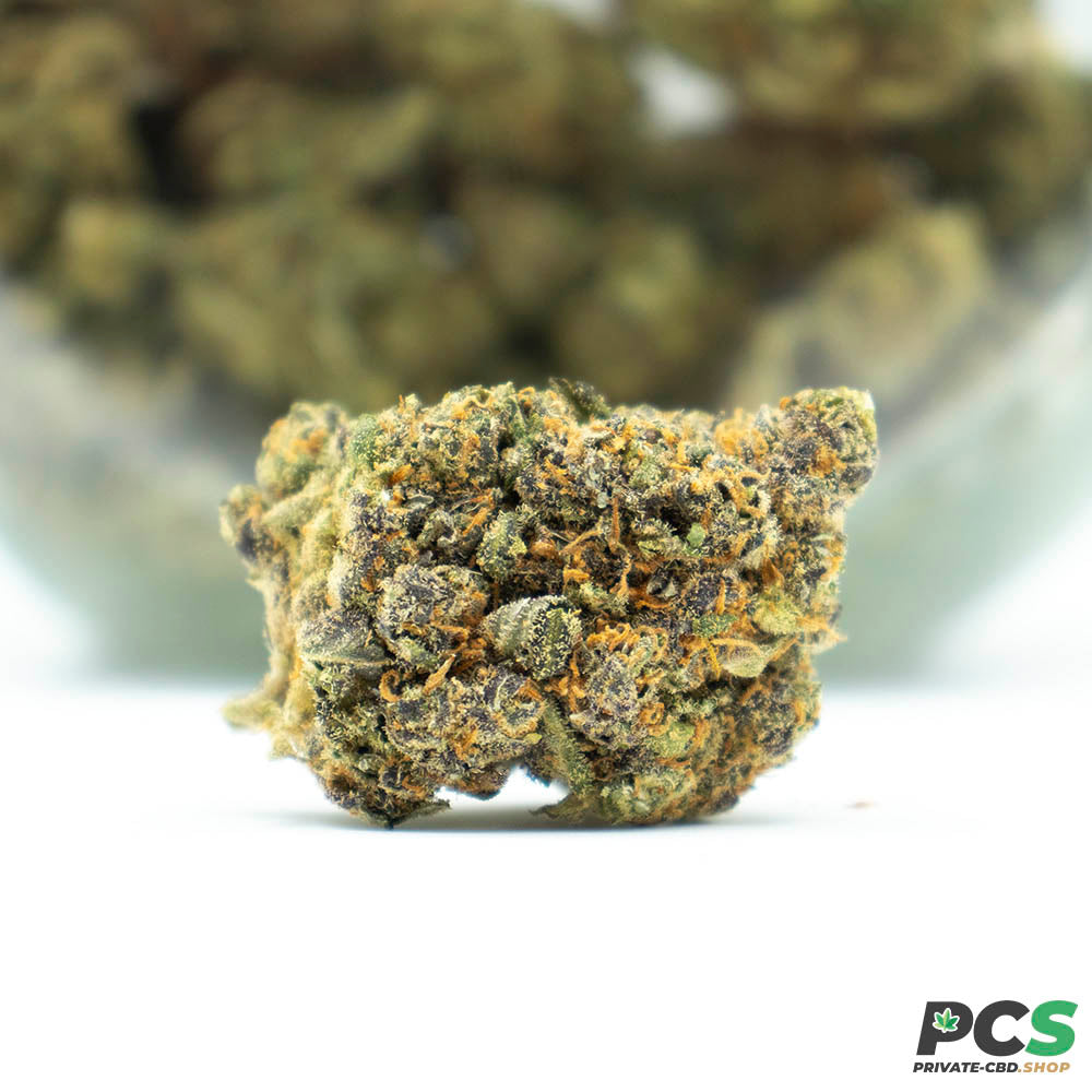 Fleurs CBD Mango Haze indoor