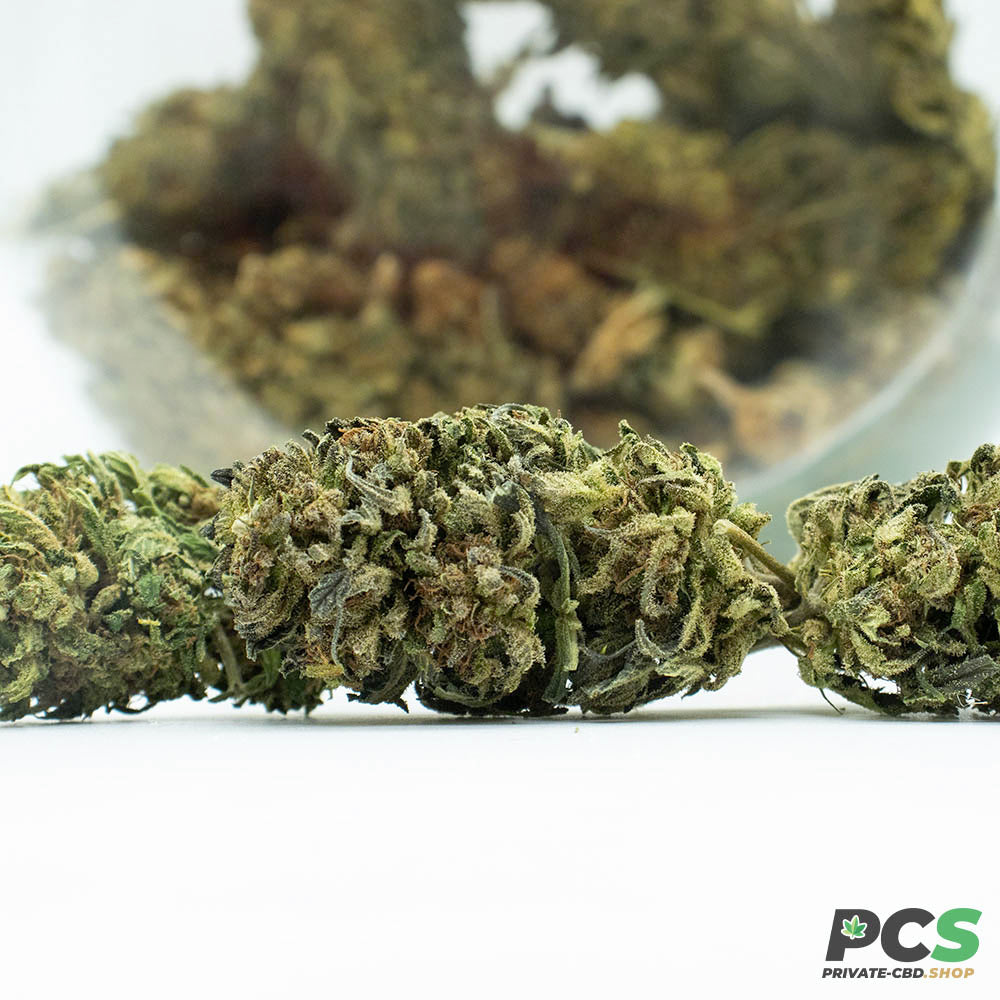 Fleurs CBD North West - Big Bud