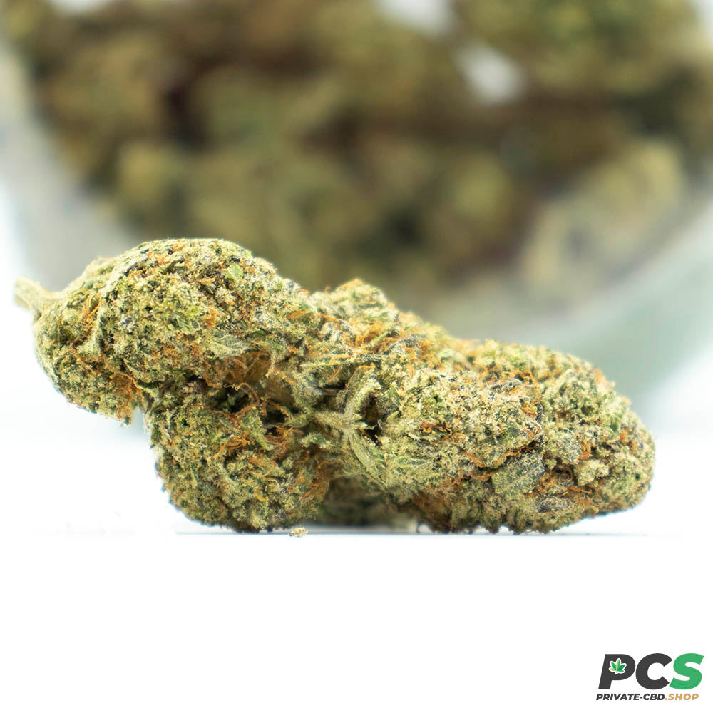 Fleurs CBD White Gelato indoor