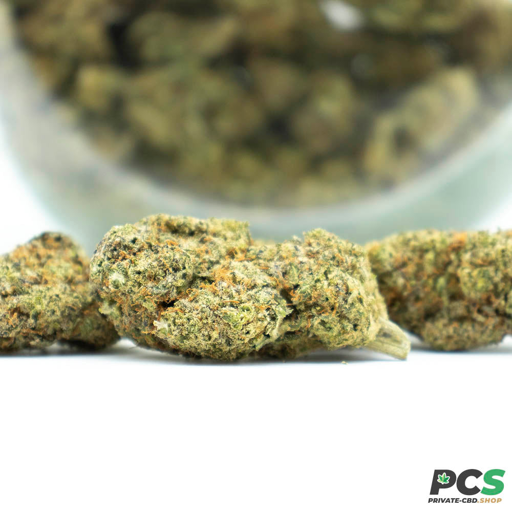 Fleurs CBD White Gelato indoor