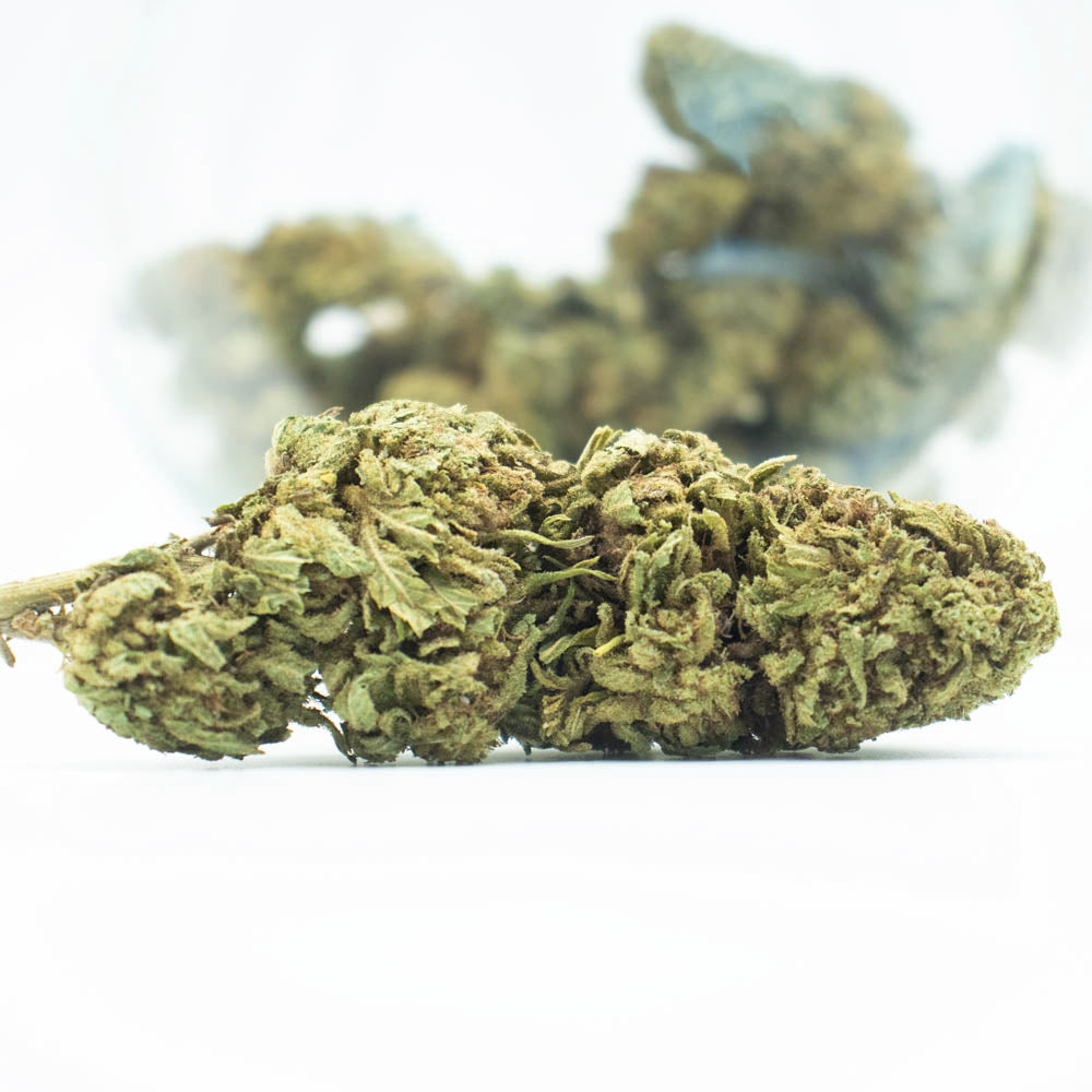 Fleurs CBD OG Kush GH Organique