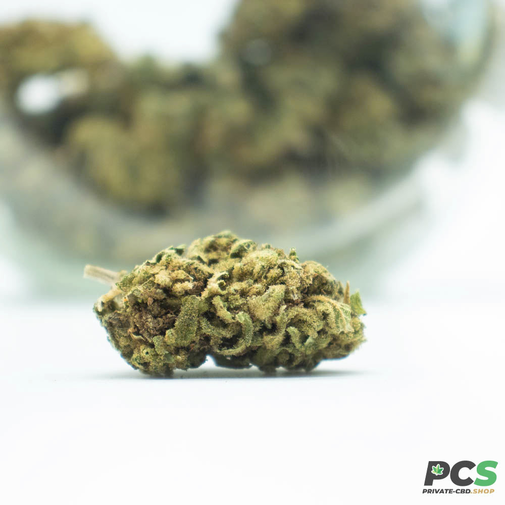 Fleurs CBD OG Kush GH Organique