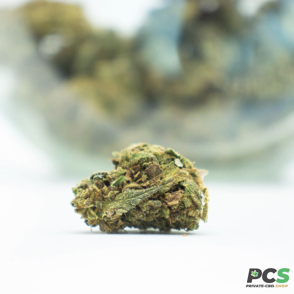 Fleurs CBD Gelato GH Organique