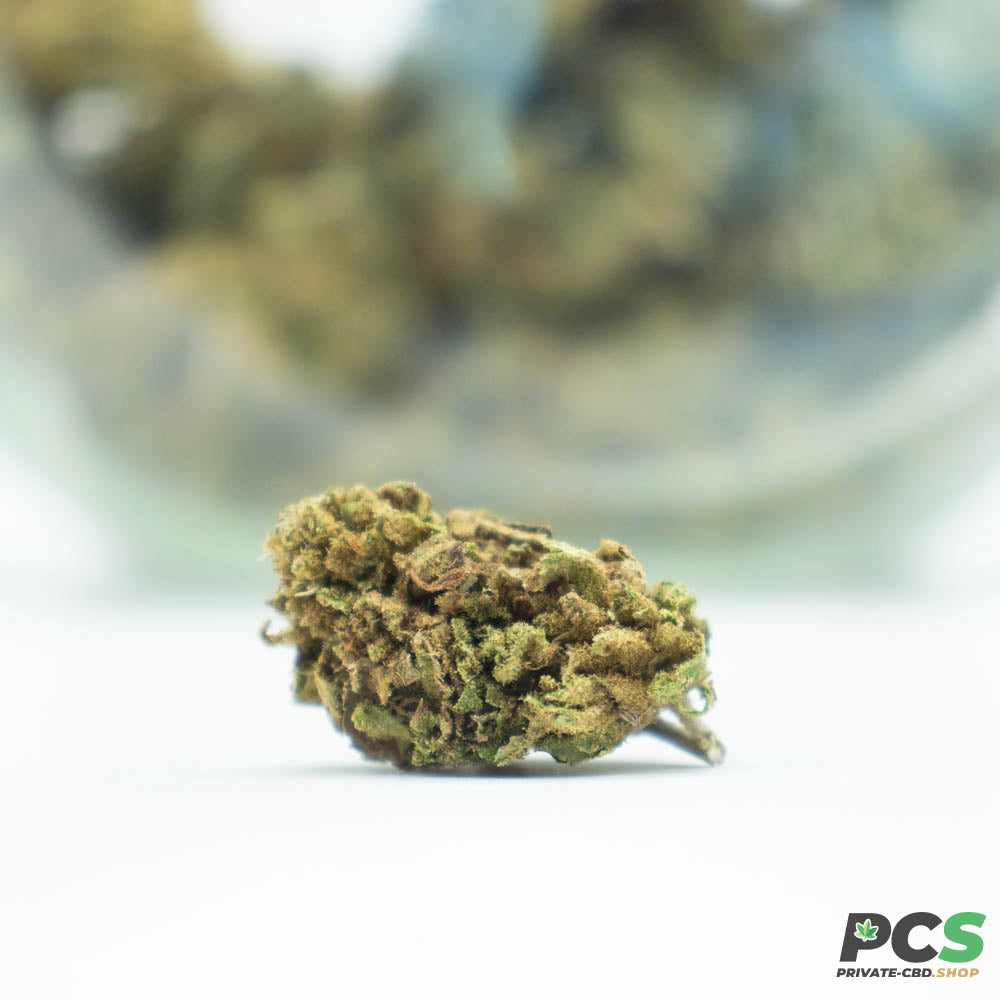 Fleurs CBD Gelato GH Organique