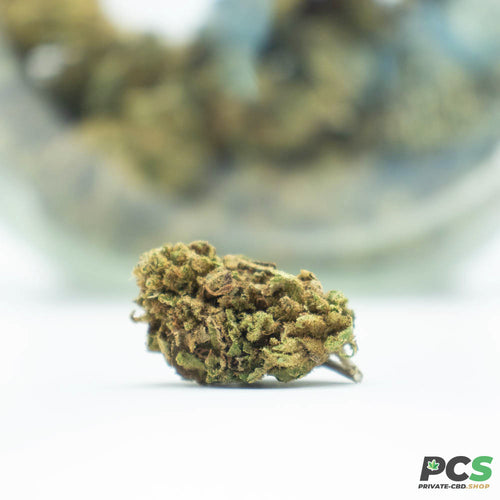 Fleurs CBD Gelato GH Organique