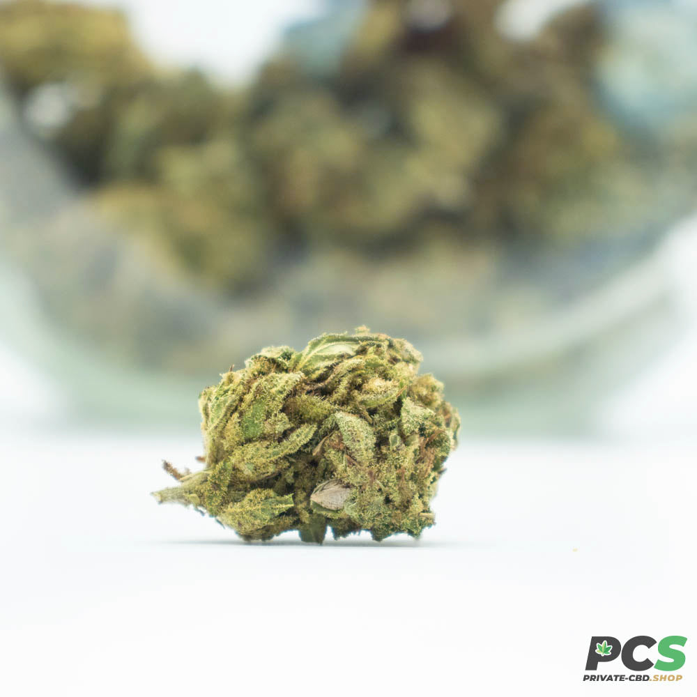Fleurs CBD Gelato GH Organique