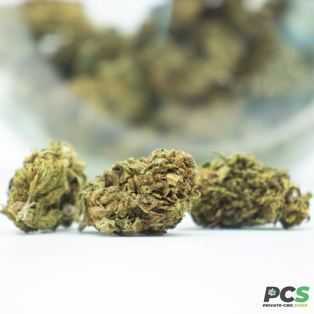 Fleurs CBD Gelato GH Organique