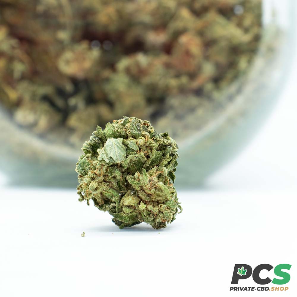 Fleurs CBD Mandarine GreenHouse - Small Bud