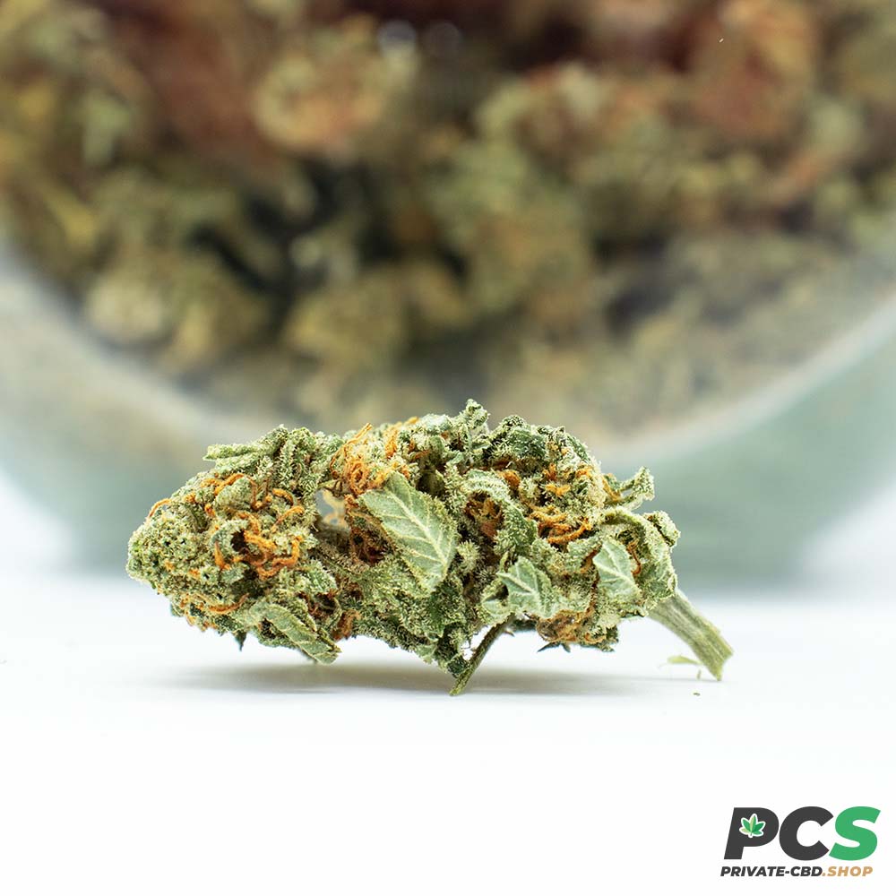 Fleurs CBD MK2 GreenHouse - Big Bud