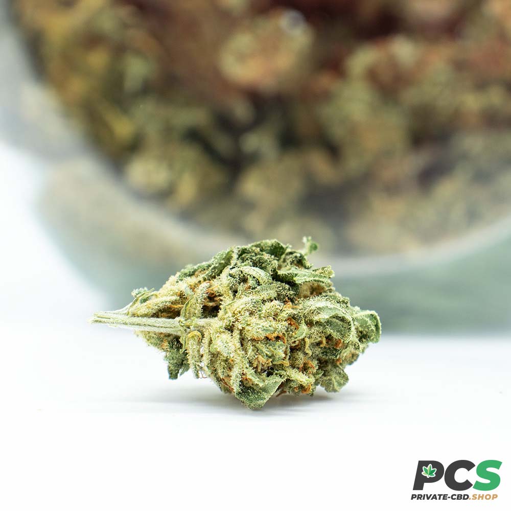 Fleurs CBD MK2 GreenHouse - Big Bud