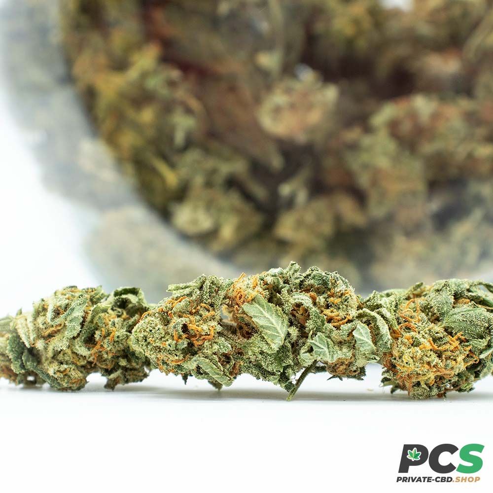 Fleurs CBD MK2 GreenHouse - Big Bud