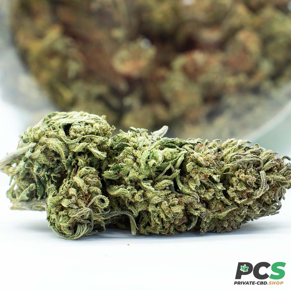 Fleurs CBD North West - Big Bud