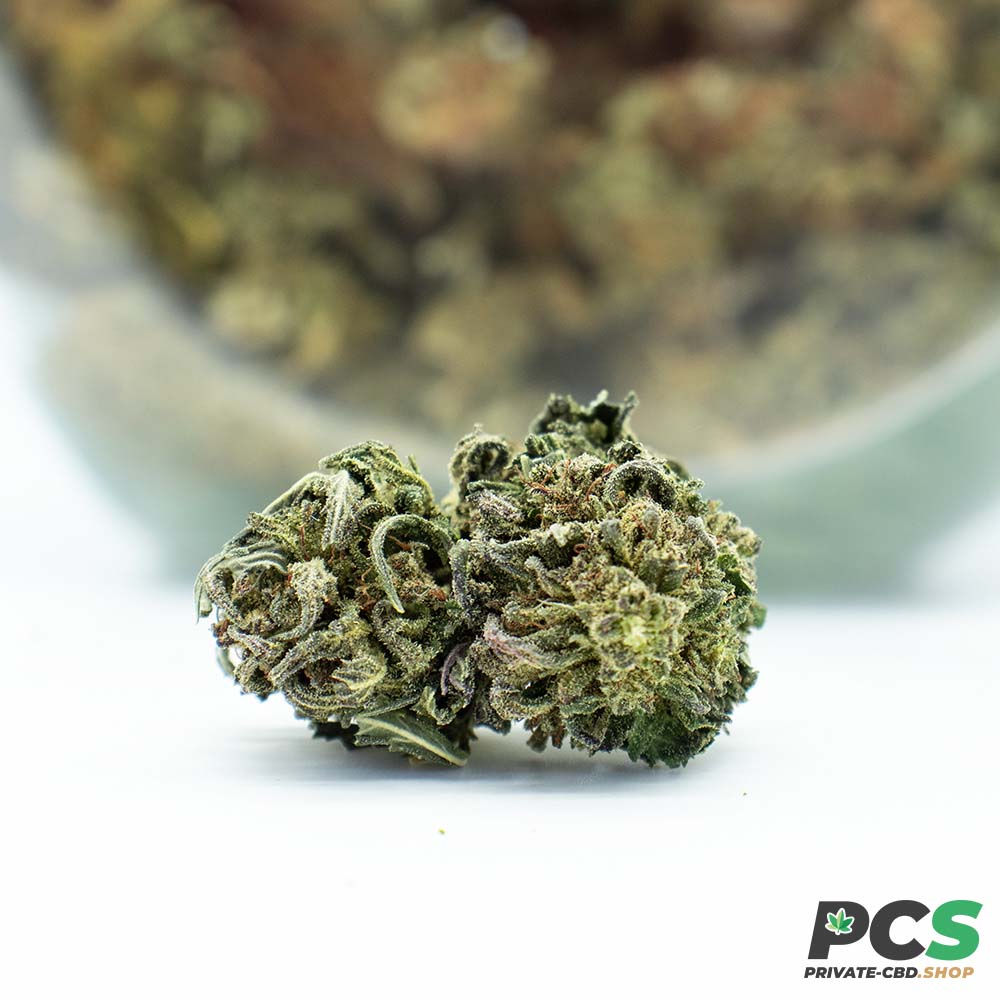 Fleurs CBD North West - Big Bud