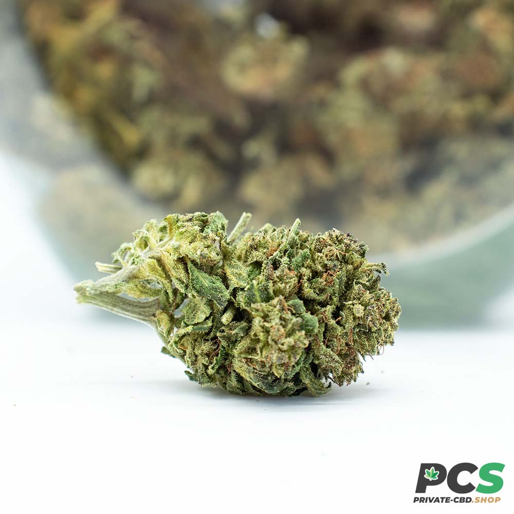 Fleurs CBD North West - Big Bud