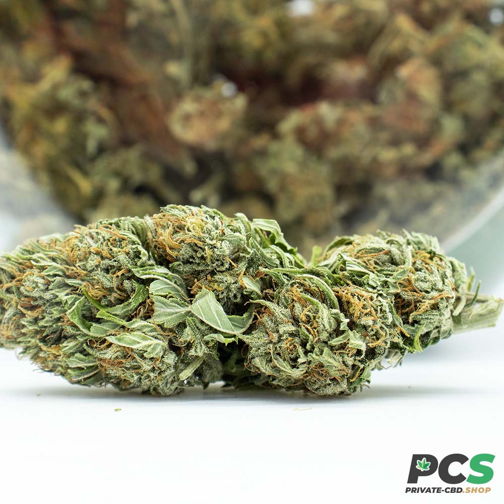 Fleurs CBD Pink Lady GreenHouse - Big Bud