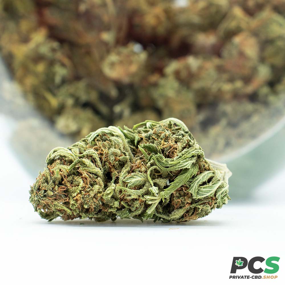 Fleurs CBD Pink Lady GreenHouse - Big Bud