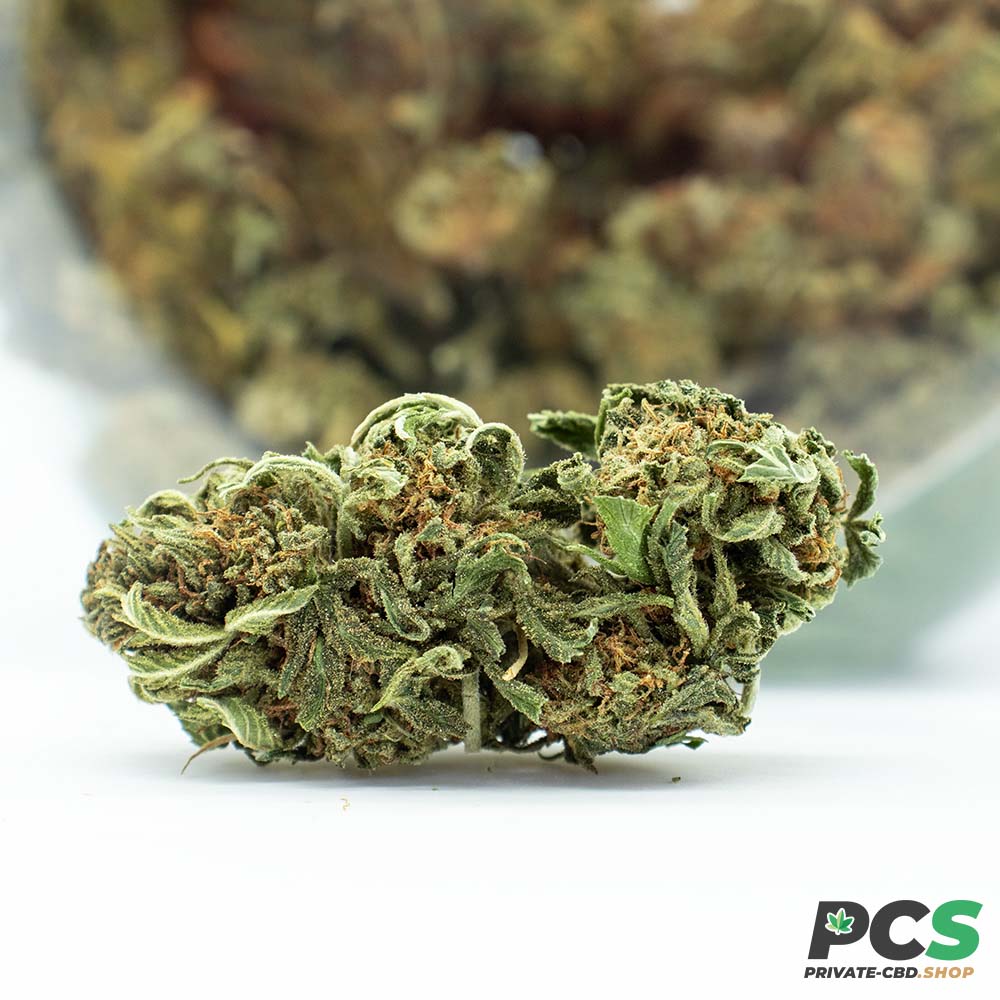 Fleurs CBD Pink Lady GreenHouse - Big Bud