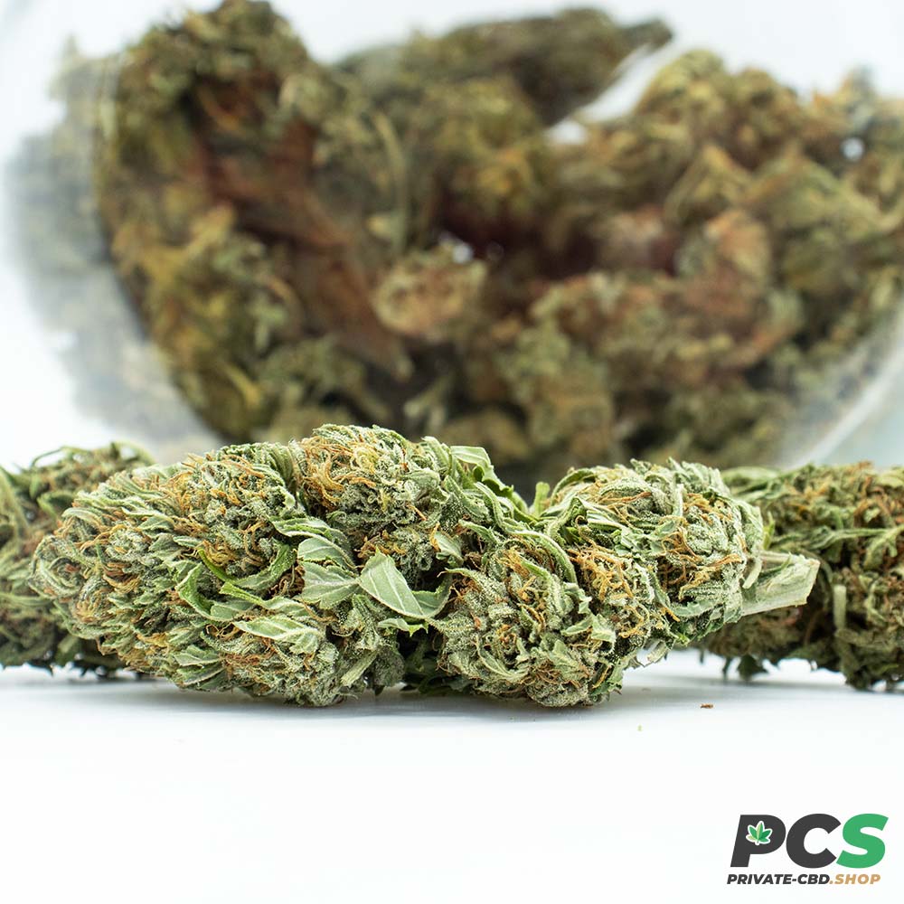 Fleurs CBD Pink Lady GreenHouse - Big Bud