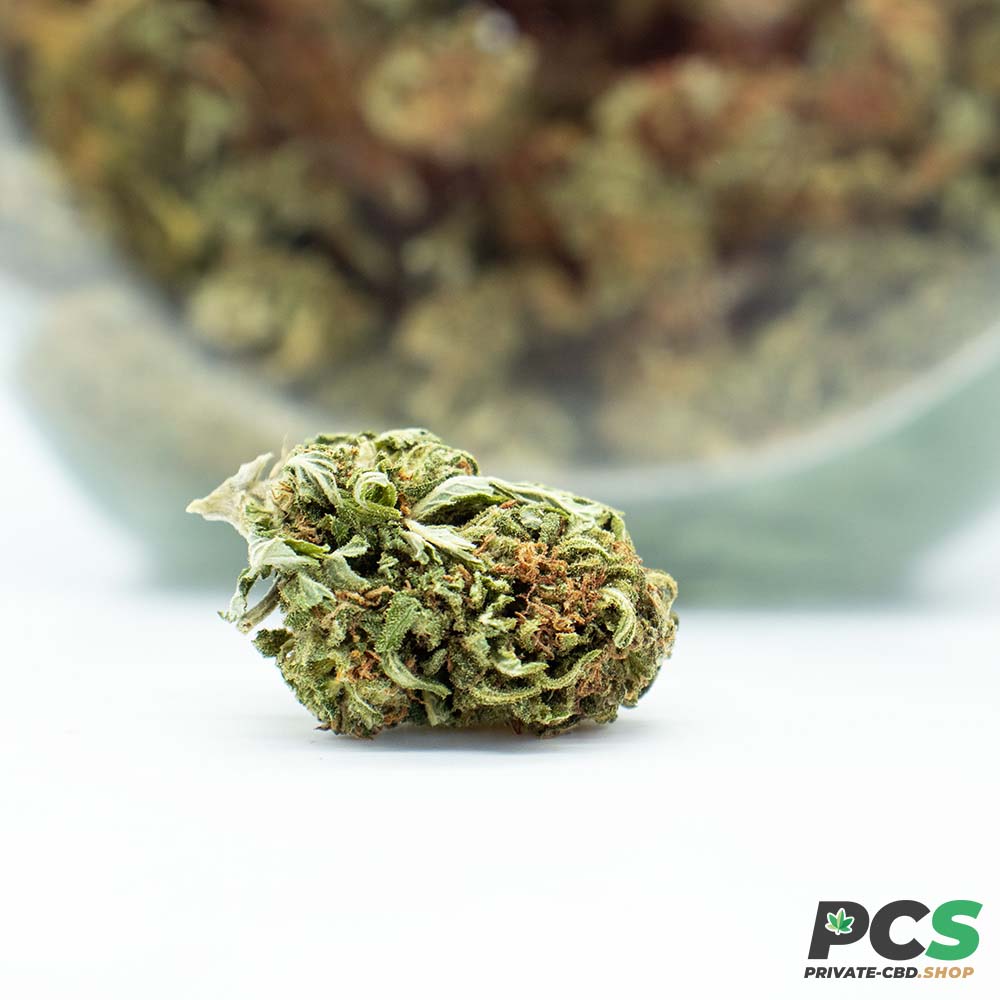 Fleurs CBD Pink Lady GreenHouse - Small Bud