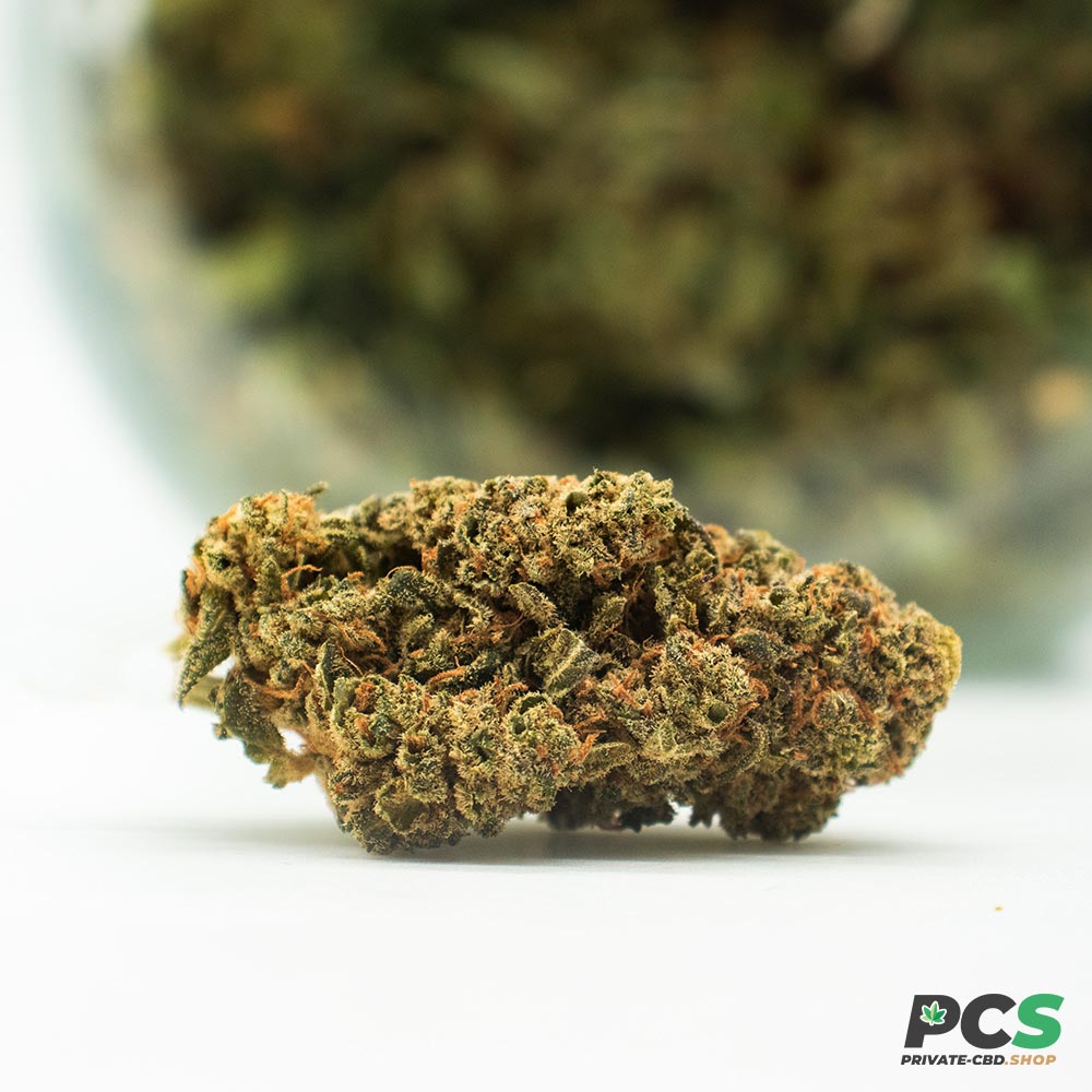 Fleurs de CBD B52 Indoor-2