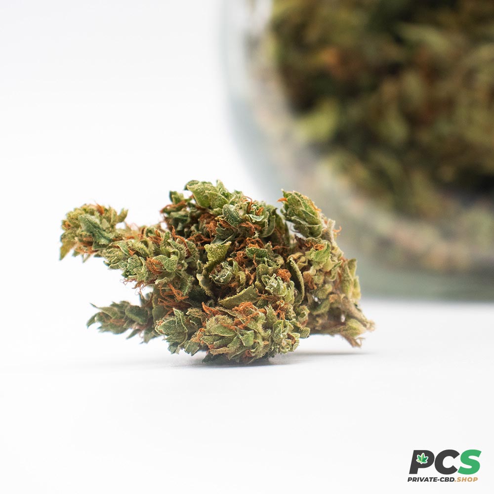 Fleur de CBD Chocolope - 3