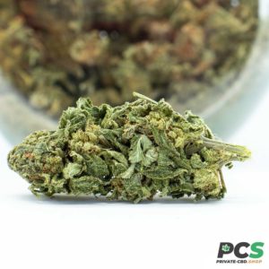 mandarine big bud - 2